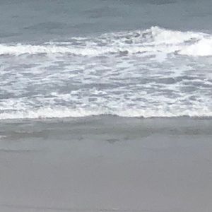 Meet your Posher, Blair